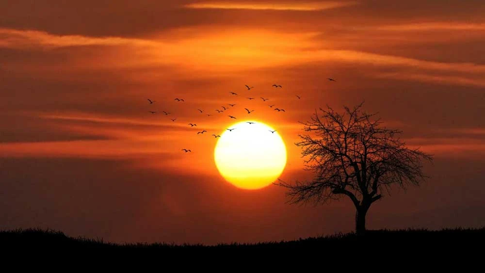 সূর্যের দিন